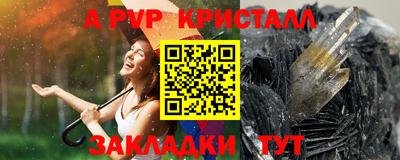 дмт Гай