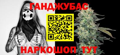 дмт Гай