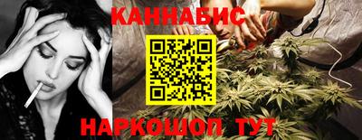шишки Гагарин
