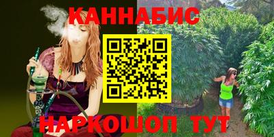 шишки Гагарин