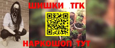 дмт Гай