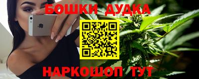 дмт Гай