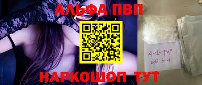 дмт Гай