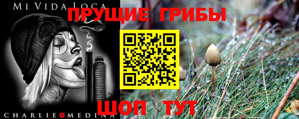 Псилоцибиновые грибы прущие грибы Мурманск
